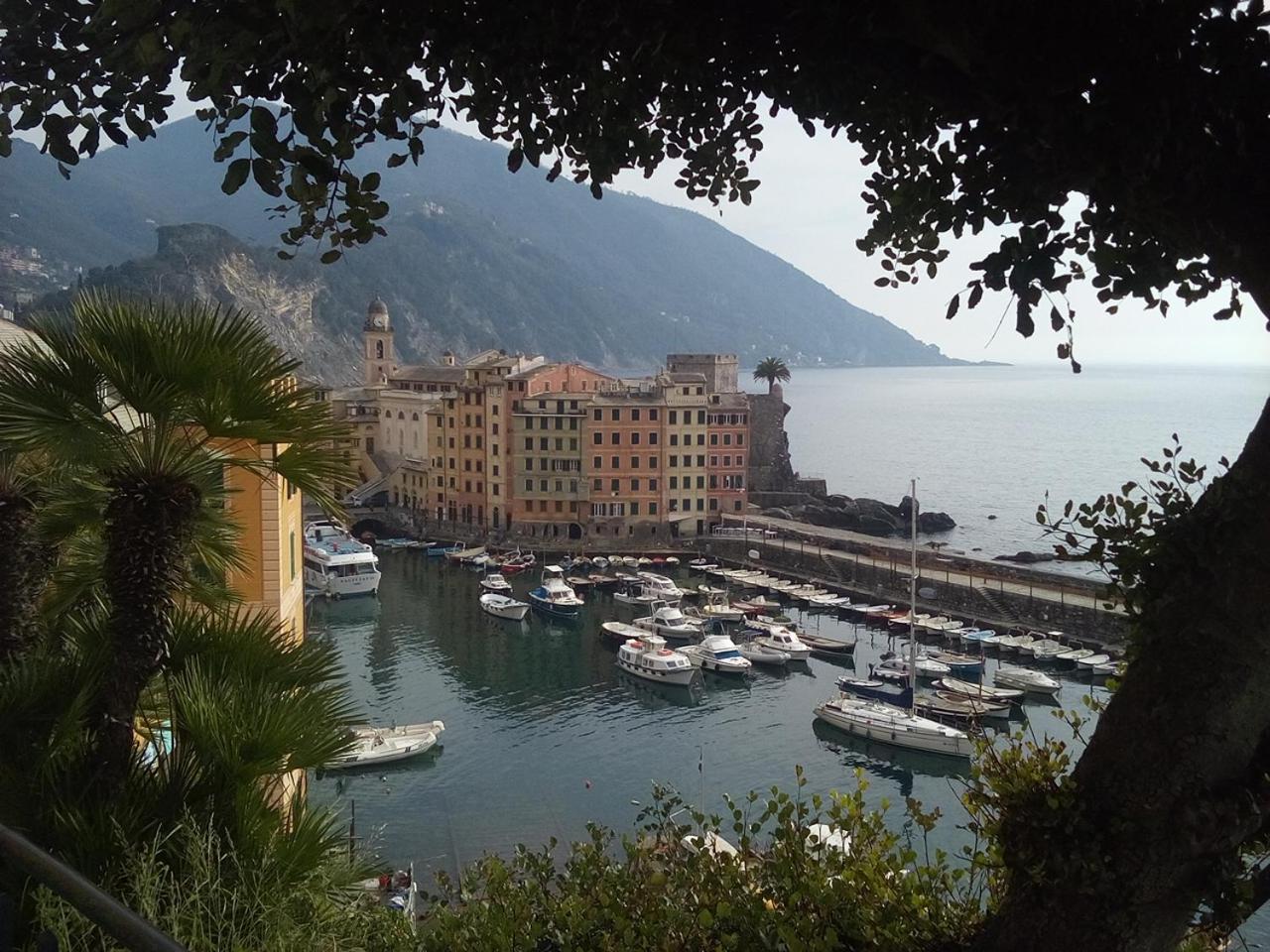 Apartamento Casa Teresina A Camogli Exterior foto